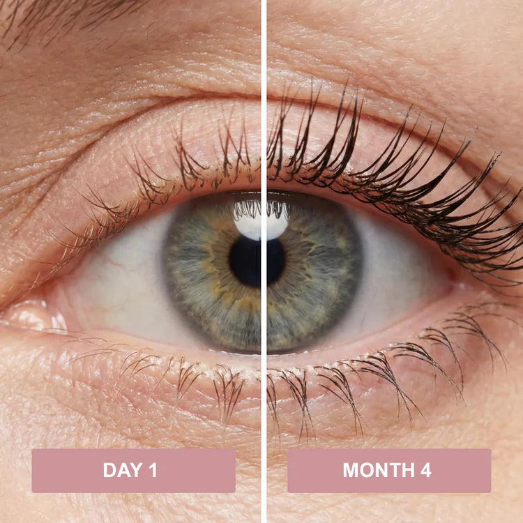 lash comparison