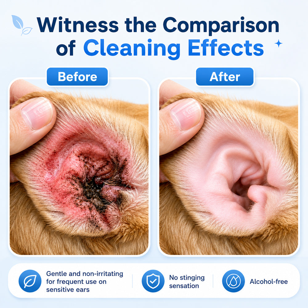 👩‍⚕️Celsiora® Pet Ear Cleansing Solution✅ FDA Approved🐶 🐈️